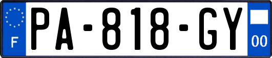 PA-818-GY
