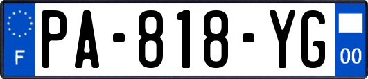 PA-818-YG