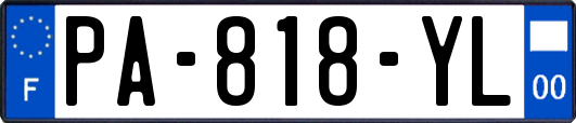 PA-818-YL