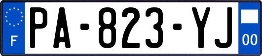 PA-823-YJ