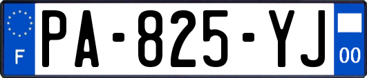 PA-825-YJ