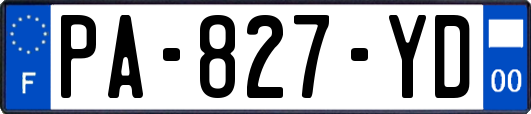PA-827-YD