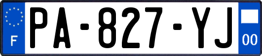 PA-827-YJ