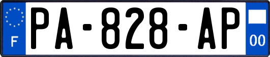 PA-828-AP