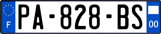 PA-828-BS