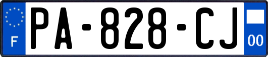 PA-828-CJ