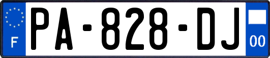 PA-828-DJ