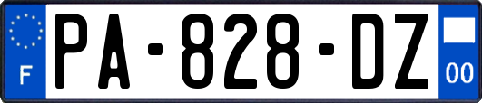 PA-828-DZ