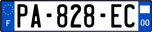 PA-828-EC