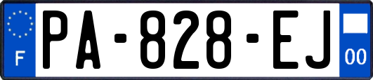 PA-828-EJ