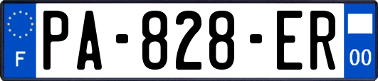 PA-828-ER