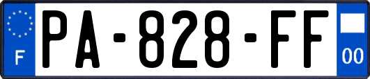 PA-828-FF