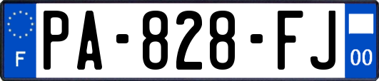 PA-828-FJ