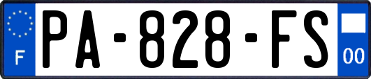 PA-828-FS