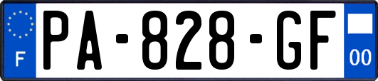 PA-828-GF