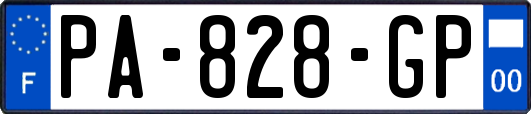 PA-828-GP
