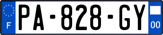 PA-828-GY