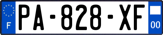 PA-828-XF