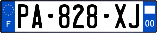 PA-828-XJ