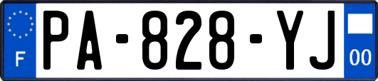 PA-828-YJ