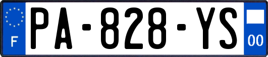 PA-828-YS