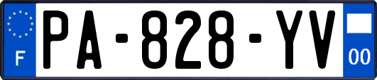 PA-828-YV