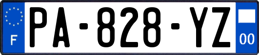 PA-828-YZ