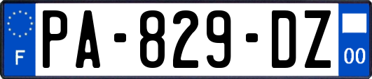 PA-829-DZ
