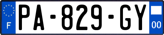 PA-829-GY