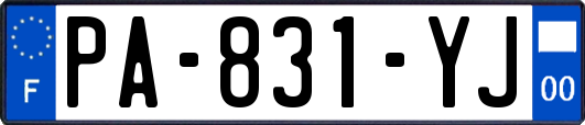 PA-831-YJ