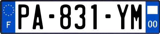 PA-831-YM