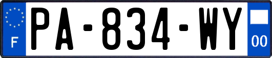 PA-834-WY