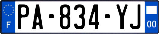 PA-834-YJ