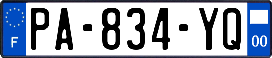 PA-834-YQ