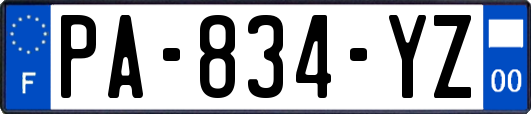 PA-834-YZ