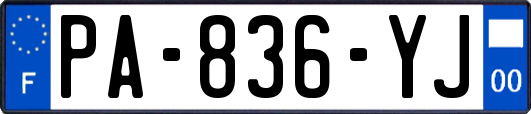 PA-836-YJ