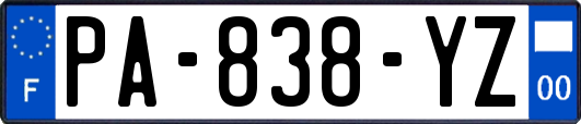 PA-838-YZ