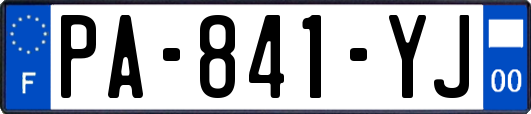 PA-841-YJ