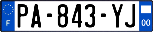 PA-843-YJ