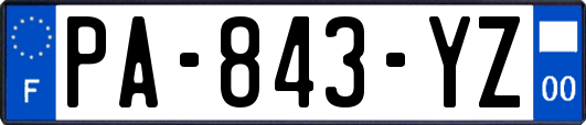 PA-843-YZ