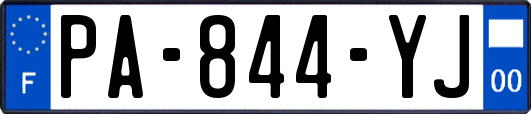 PA-844-YJ