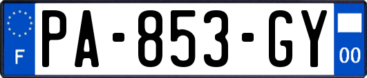 PA-853-GY