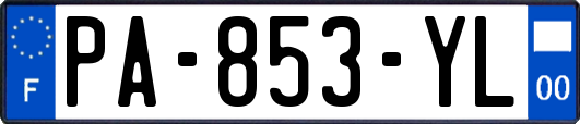 PA-853-YL