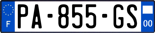 PA-855-GS