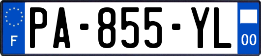 PA-855-YL