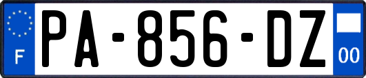 PA-856-DZ