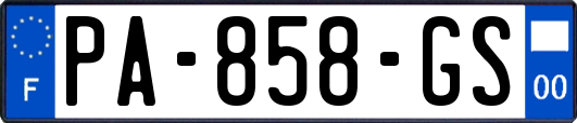 PA-858-GS