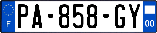 PA-858-GY