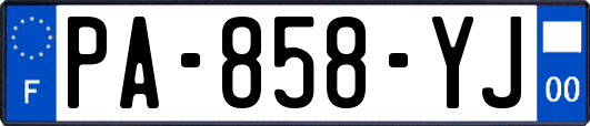 PA-858-YJ