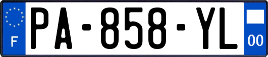 PA-858-YL